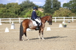 SBM_015993