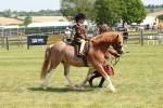 SBM_05270