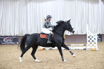 SBM_001849