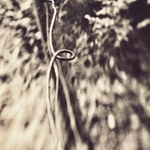 Wire 3