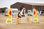 SBM_008918