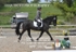 BPP_6638