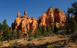 Red Canyon; Utah portfolio