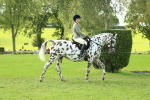 SBM_62382