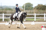 SBM_003654