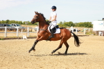 SBM_002634