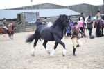 SBM_006394