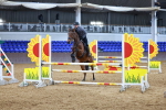 SBM_001901
