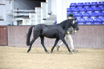 SBM_5419