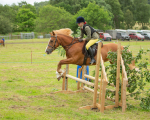 Dunblane show-476