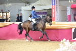 SBM_23513