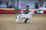 SBM_16065