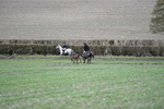 WJ5_4257