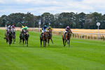 070826-Race 1-Drish Samphire-1330
