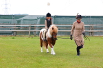 SBM_08245
