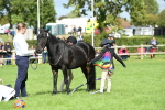 SBM_46968