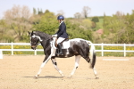 SBM_007950
