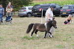 WJ6_5692