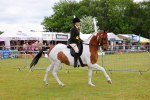 SBM_02571