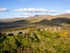 DJI_0439