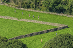 Loweswater Show-233