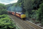 17th Sept 2005