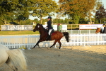 SBM_53964