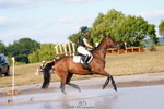 I-408-Leia.Massey-HOOVES.THE.DADDY portfolio