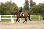 SBM_000463