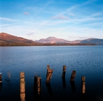 Ben Lomond from Inchmurrin Island, Loch Lomond, Strathclyde, Scotland.