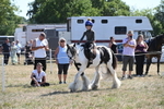 WJ6_8933