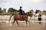 SBM_05528