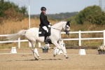 SBM_008501