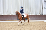 SBM_000951