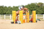 SBM_001461