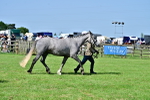 SBM_03341