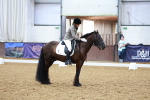 SBM_002334