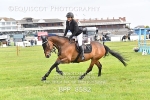 BPP_8582