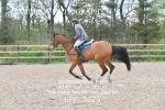 BPP_3629