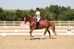 SBM_005028
