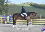 BPP_8508