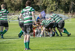 St Jacques v Tottonians-33