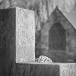Resurrection, Infrared #2 (square format)
