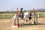SBM_000133