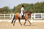 SBM_018646