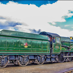 7029 Tyseley 100 28.06.08