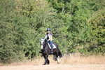 WJ6_7516