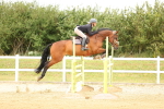 SBM_010135