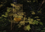 Chair, Persimmon and Devil's Club