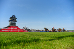 270526-Race 5-Penny Ghent-3196